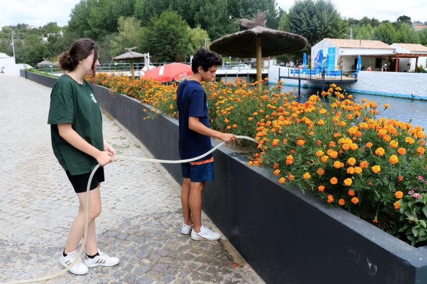  Est&aacute;gios &ldquo;Experimenta +&rdquo; &ndash; Jovens continuam a trabalhar em diversos locais