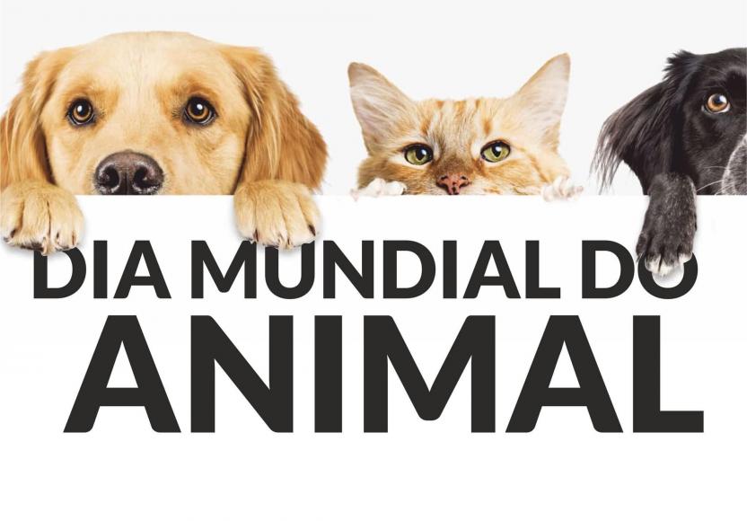 Dia Mundial dos Animais Dia Mundial dos Animais
