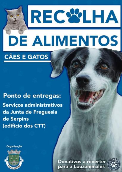 Campanha Solidária - angariação de alimentos para animais Campanha Solidária - angariação de alimentos para animais