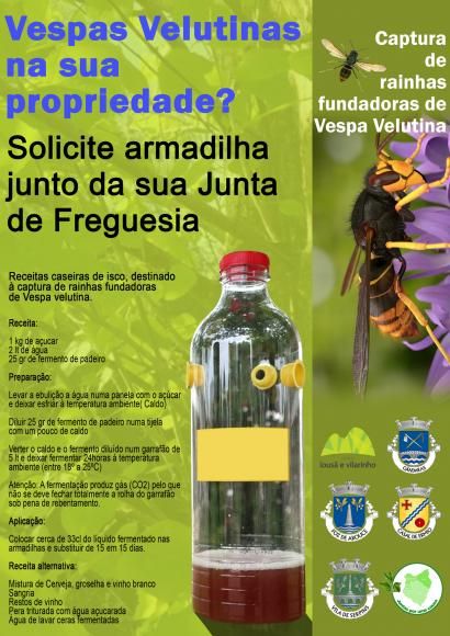 Solicite armadilha de captura &agrave; Vespa Asi&aacute;tica na Junta de Freguesia