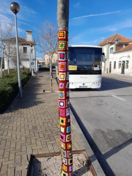 Árvores ganham nova vida em Serpins Árvores ganham nova vida em Serpins