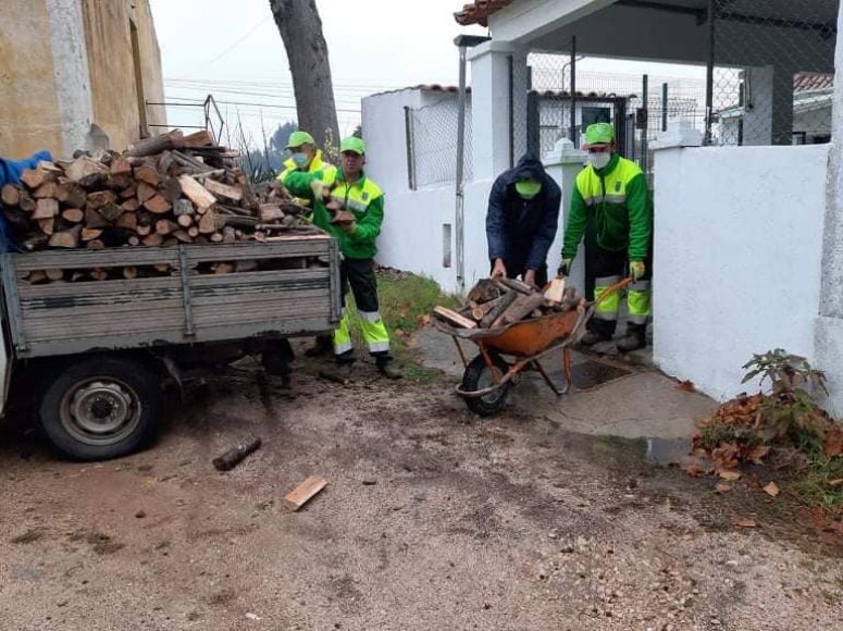 Junta de Freguesia fornece lenha para Escola de Casal Santo Ant&oacute;nio e Jardim de Inf&acirc;ncia de Serpins