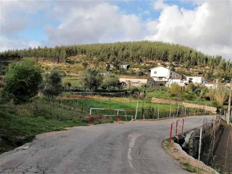 Interven&ccedil;&atilde;o na Terra da Gaga
